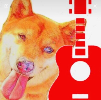 user_193020104613165056