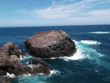 user_309299789928413184